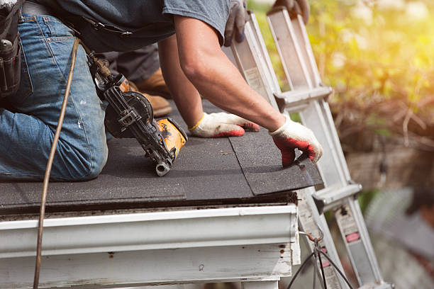 Best Roof Gutter Cleaning  in Salyersville, KY